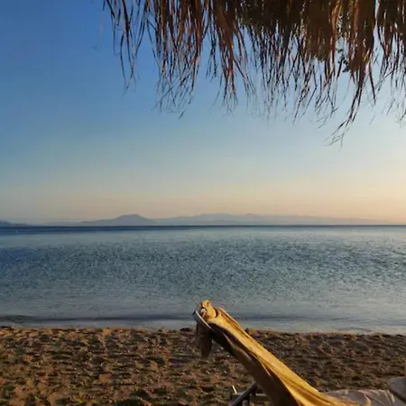 Cozy Nest * Afissos